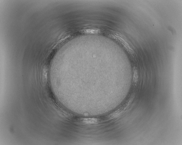 X0000115580363200912221053