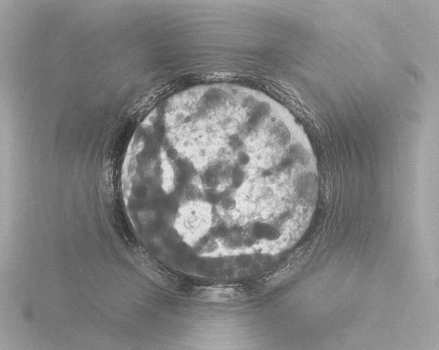 X0000115580366200912221053