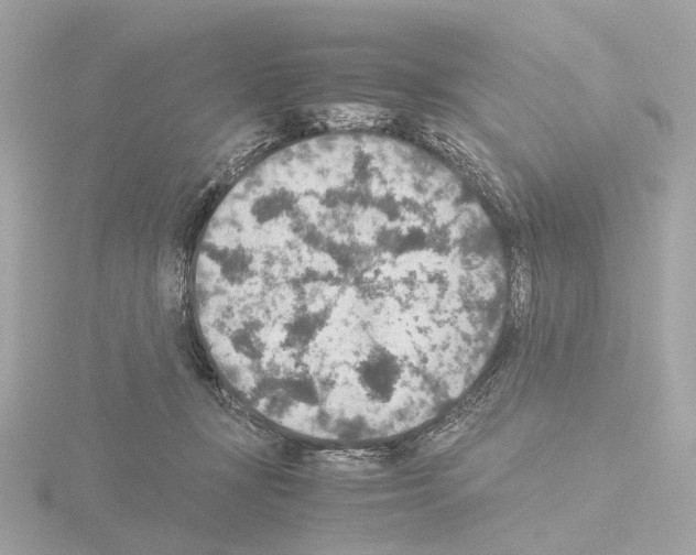 X0000115580367200912221053