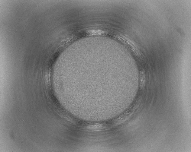 X0000115580369200912221053