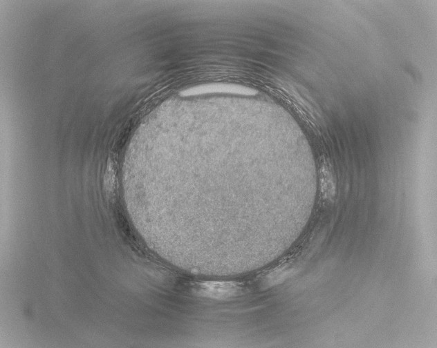 X0000115580371200912221053