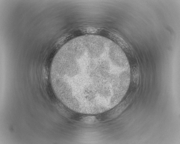 X0000115580374200912221053