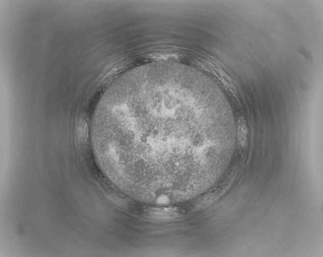 X0000115580375200912221053