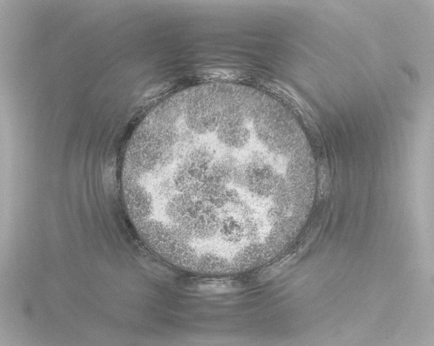 X0000115580377200912221053