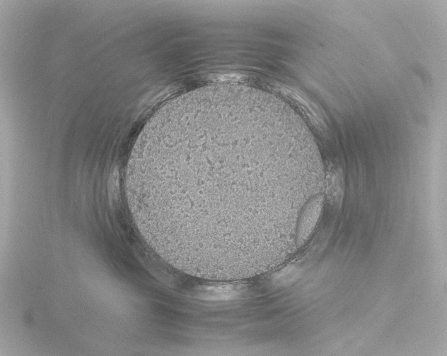 X0000115580381200912221053