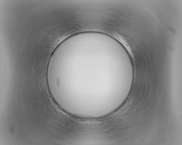 X0000115580385200912221053