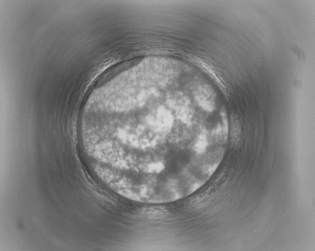 X0000115580386200912221053