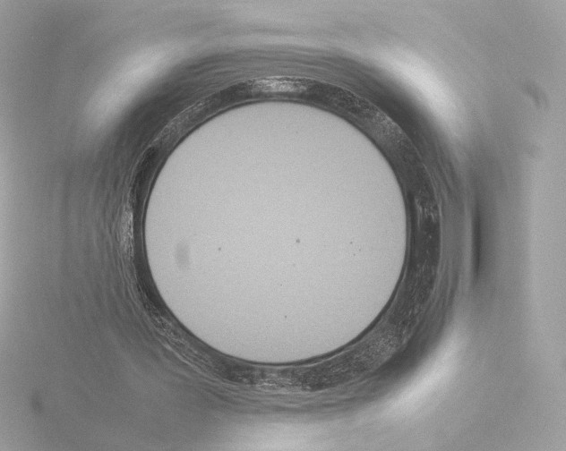 X0000115580387200912221053