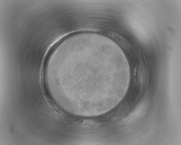 X0000115580388200912221053