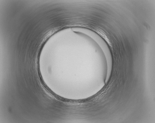 X0000115580389200912221053