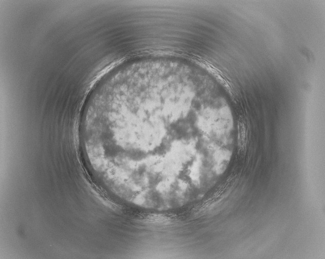 X0000115580390200912221053