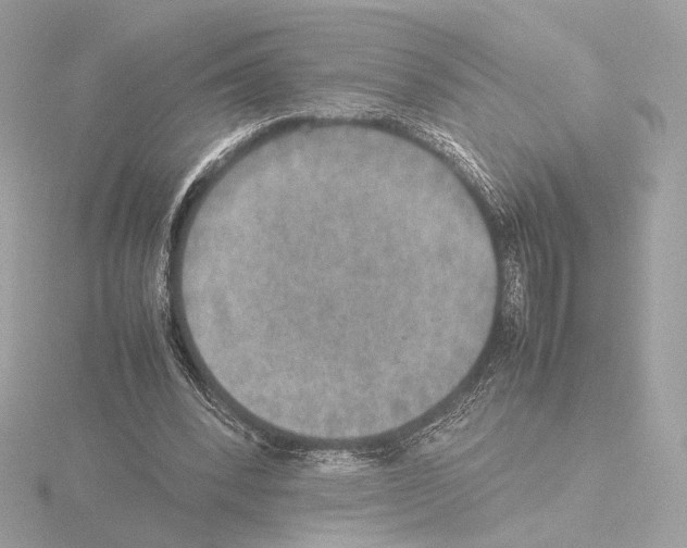 X0000115580392200912221053