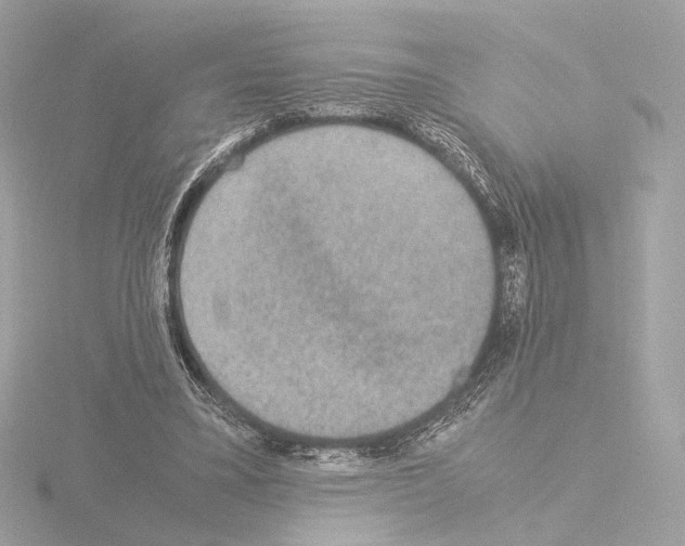 X0000115580395200912221053