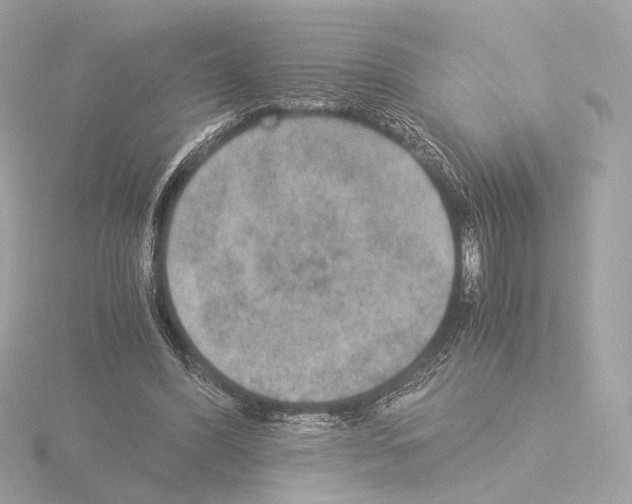 X0000115580396200912221053