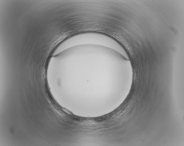 X0000115580397200912221053