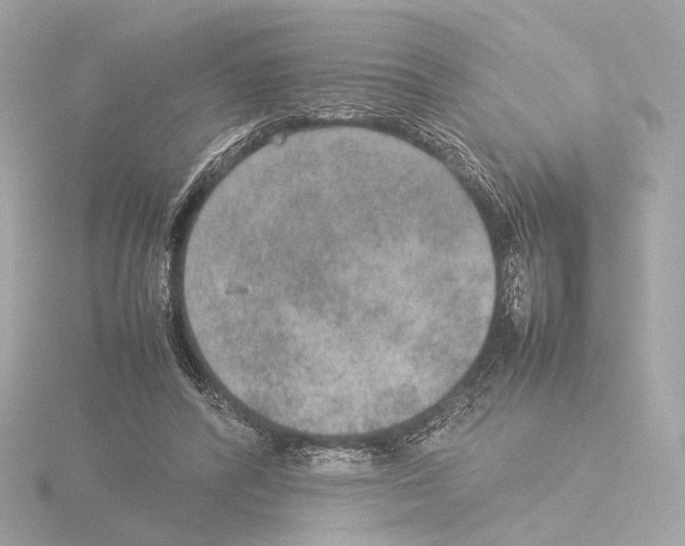 X0000115580400200912221053