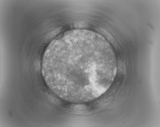 X0000115580401200912221053