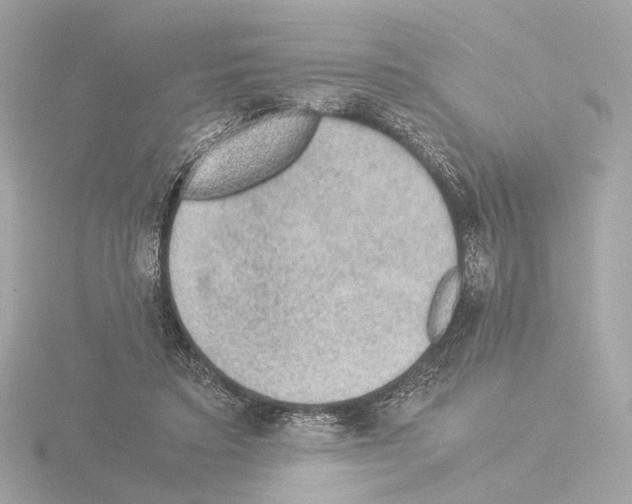 X0000115580403200912221053