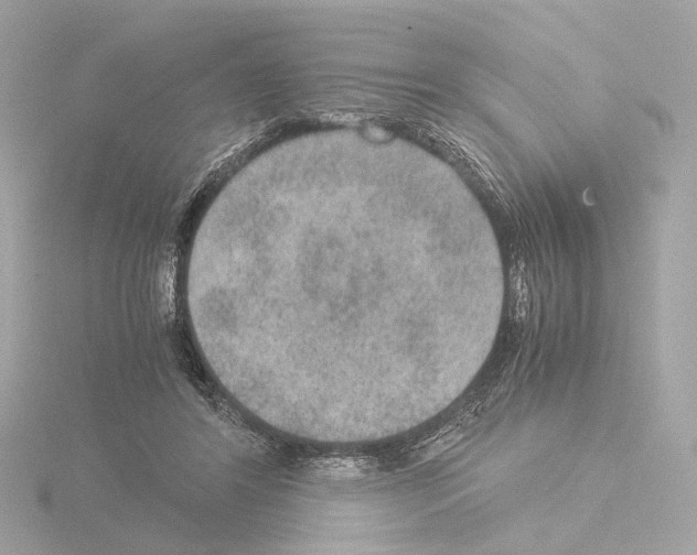 X0000115580404200912221053