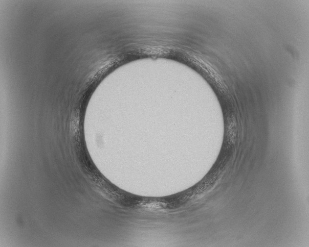 X0000115580407200912221053