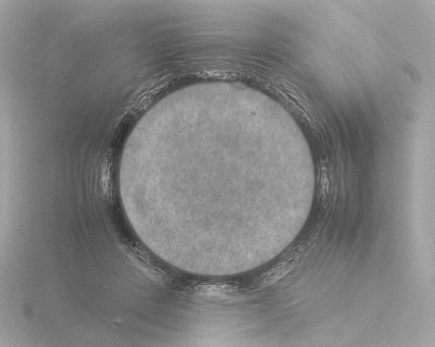 X0000115580408200912221053