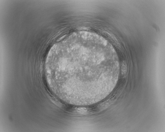 X0000115580409200912221053