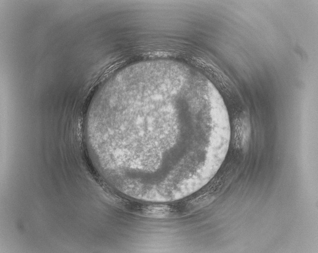 X0000115580410200912221053