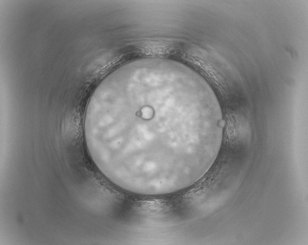 X0000115580411200912221053