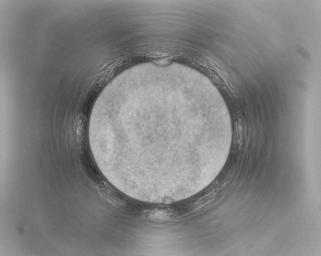 X0000115580412200912221053