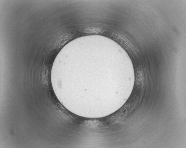 X0000115580414200912221053