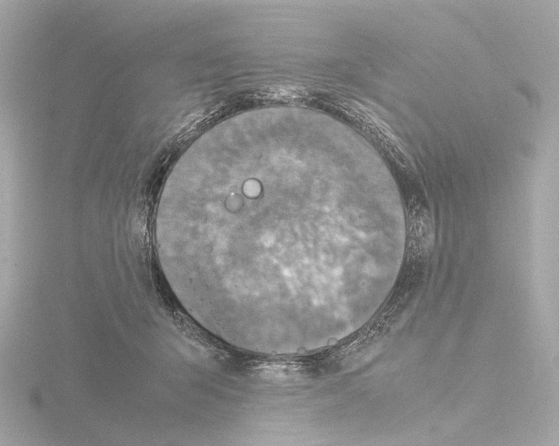 X0000115580415200912221053