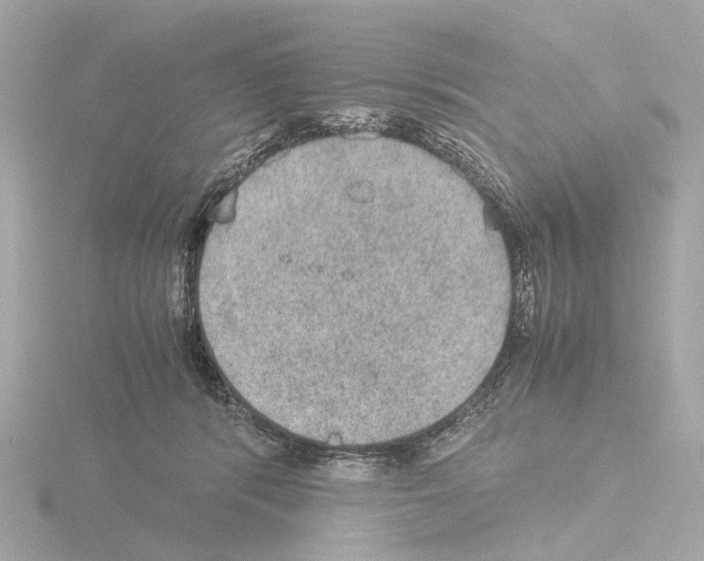 X0000115580416200912221053