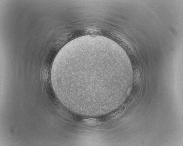 X0000115580417200912221053