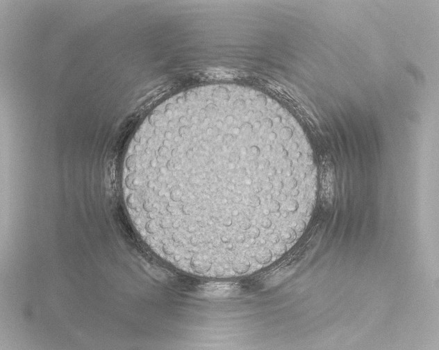 X0000115580418200912221052