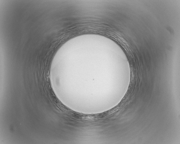 X0000115580419200912221052