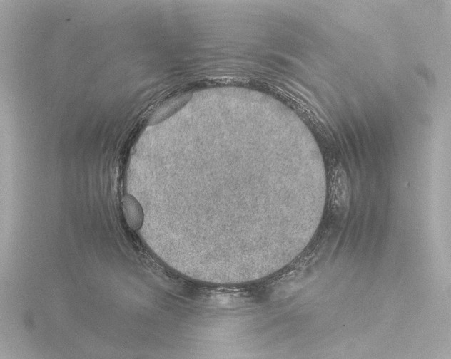 X0000115580420200912221052