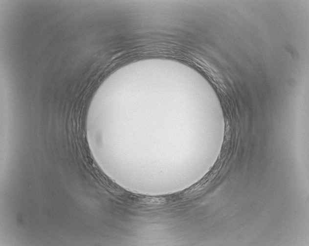 X0000115580421200912221052