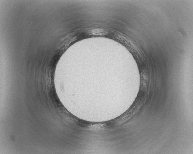 X0000115580422200912221052