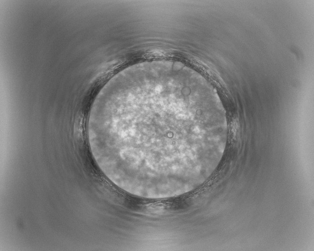 X0000115580423200912221052