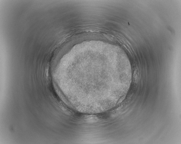 X0000115580424200912221052