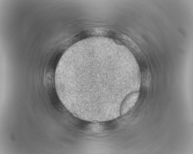 X0000115580425200912221052