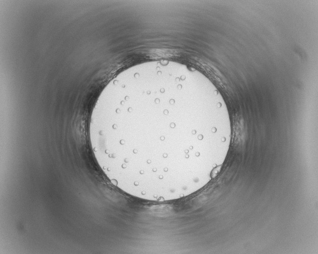 X0000115580426200912221052