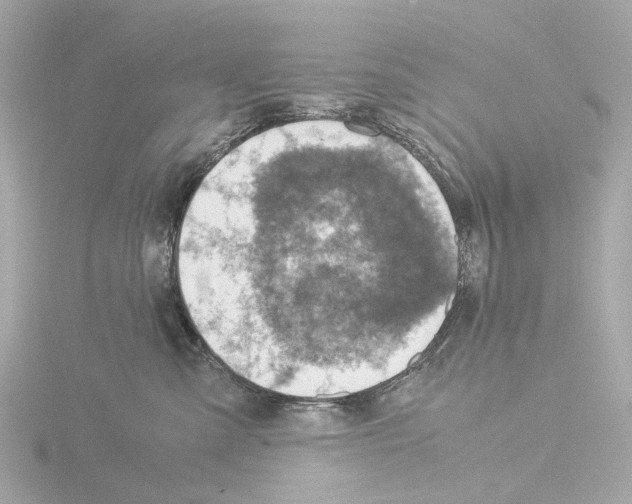 X0000115580427200912221052