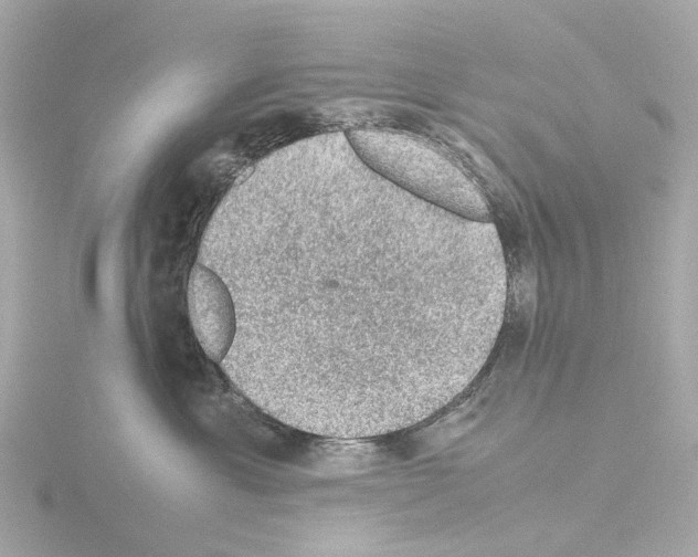 X0000115580429200912221052