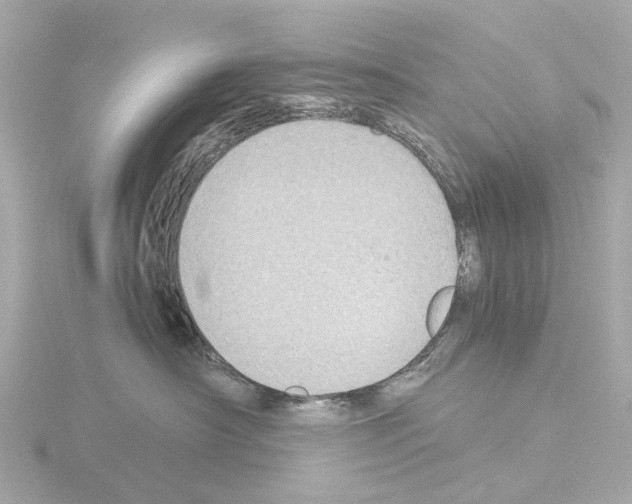 X0000115580430200912221052