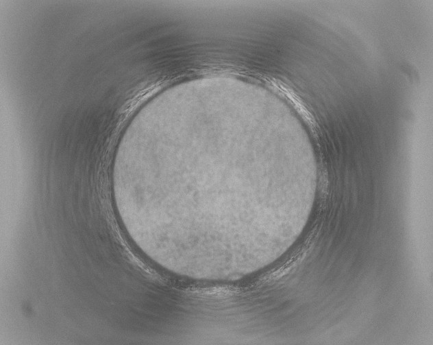 X0000115580433200912221052