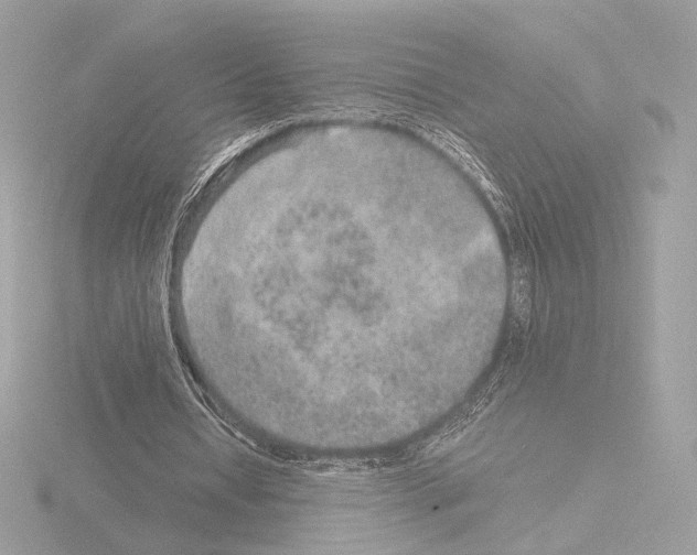 X0000115580434200912221052