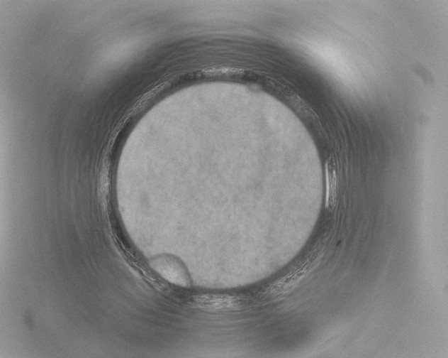 X0000115580435200912221052