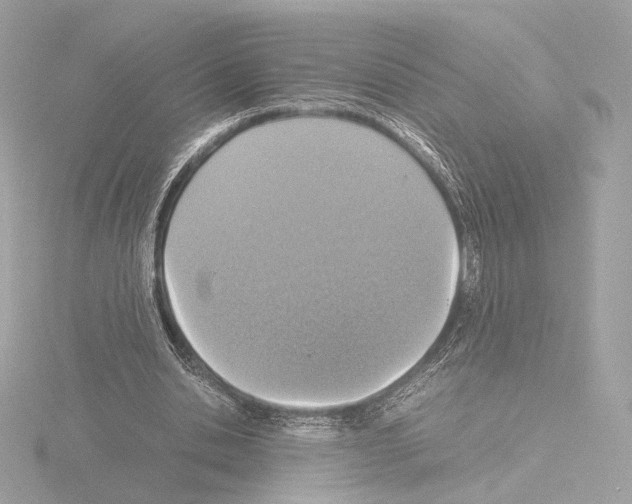 X0000115580438200912221052