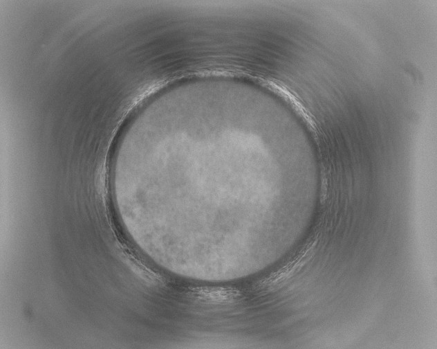 X0000115580439200912221052